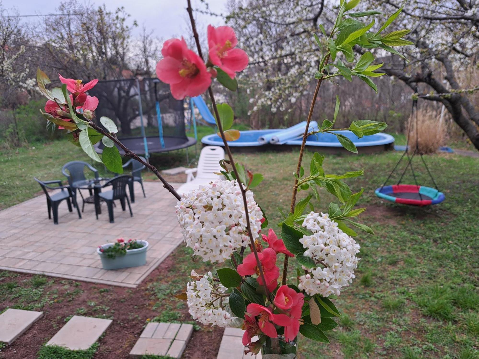 Malibu Apartment Balaton North บาลาโตนัลมาดี ภายนอก รูปภาพ
